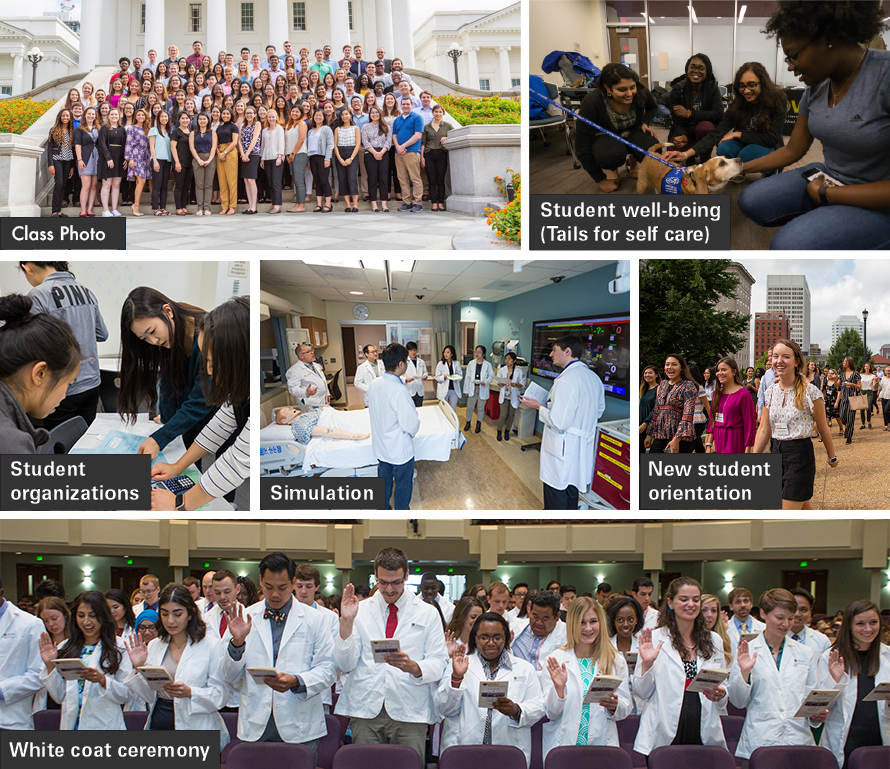 photo collage of the p1 class photo, students petting dogs as part of tails for self care program, student organizations, patient simulations, new student orientation and white coat ceremony