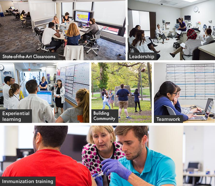 photo collage of state-of-the-art classrooms, student leaders, students engaged in experiential learning, students building community, students engaged in teamwork, and students being trained in immunization
