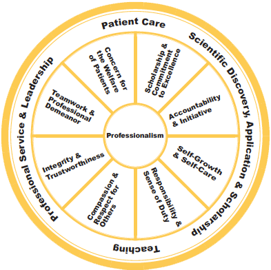 a diagram of a bicycle wheel to conceptualize professionalism in pharmacy