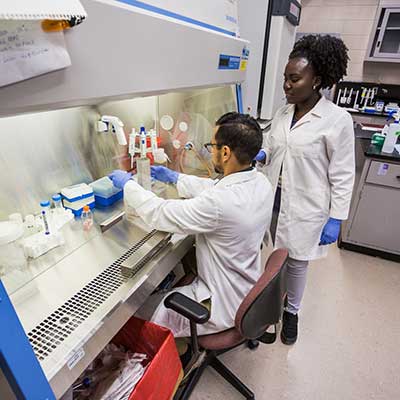 Two pharmacy students in lab.