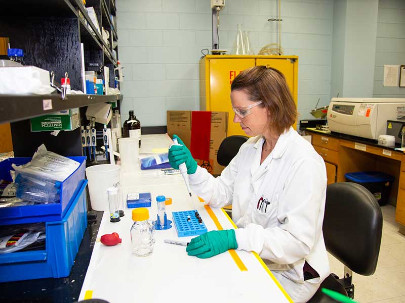 Student using dropper in bioanalytical lab.