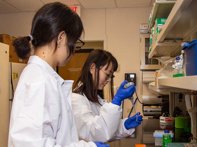 Two researchers in lab coats using lab equipment.