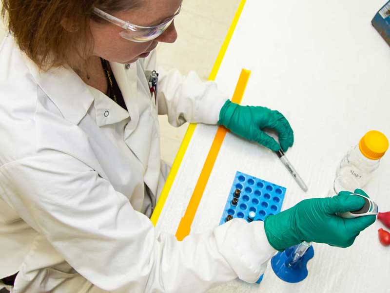 a worker in a lab adding fluid to a test tube