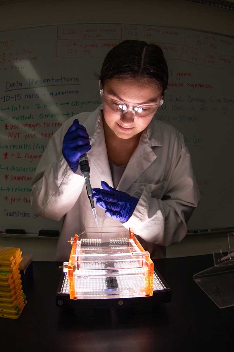 a lab worker using a dropper to put liquid into test tubes