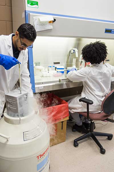 Two students working with lab equipment