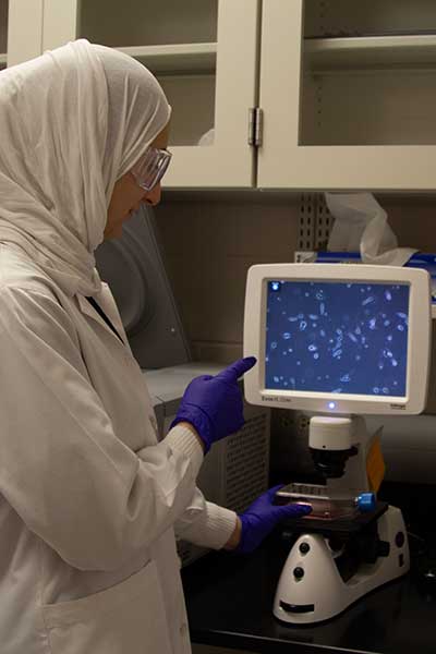 A student points to an electronic screen on a microscope.