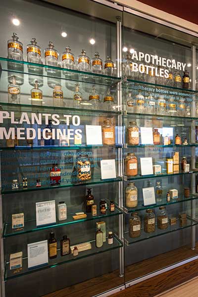 Glass shelving display with apothecary bottles and plants to medicine display.